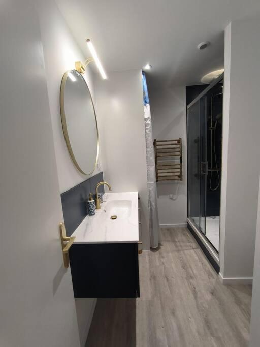 Апартаменты T2 -55M2- Elegant Et Chaleureux Монбризон Экстерьер фото